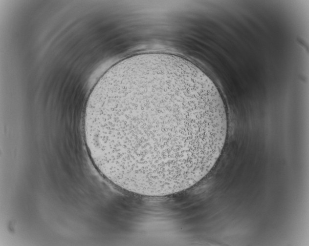 X0000103490863200810241100