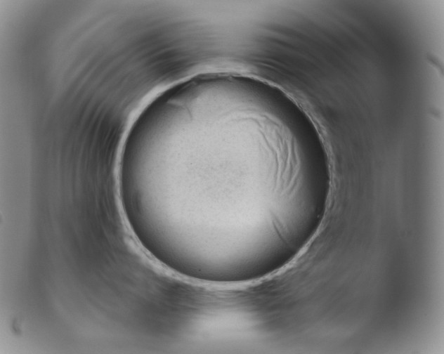 X0000103490864200810241100