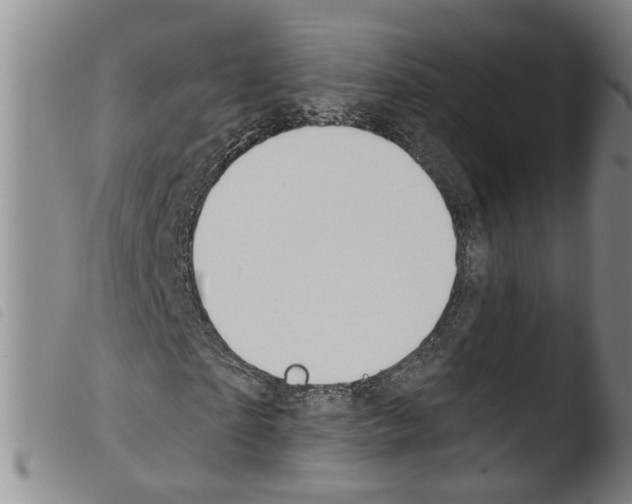 X0000103490865200810241059