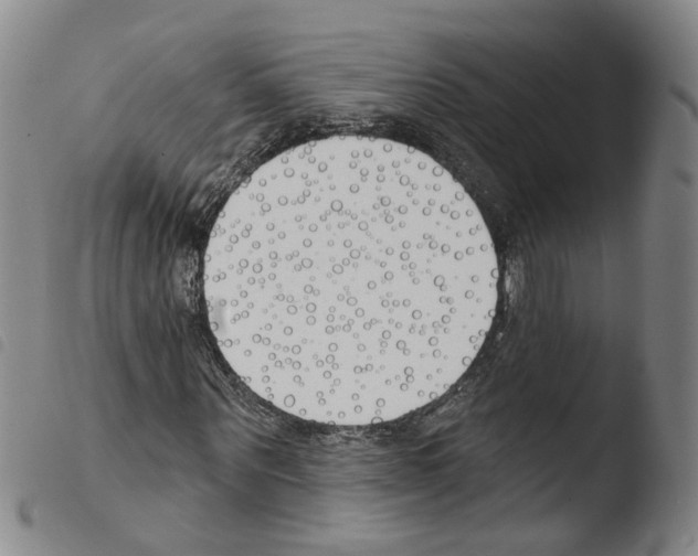 X0000103490867200810241059