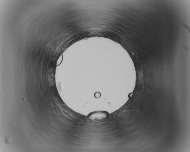 X0000103490868200810241059