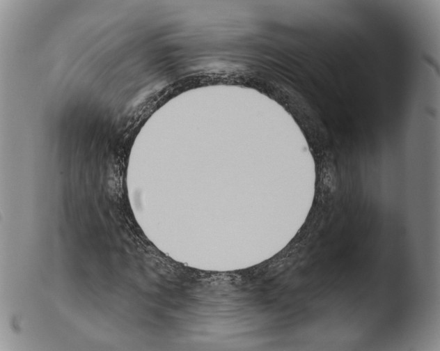 X0000103490869200810241059