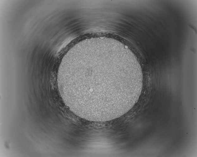 X0000103490871200810241059