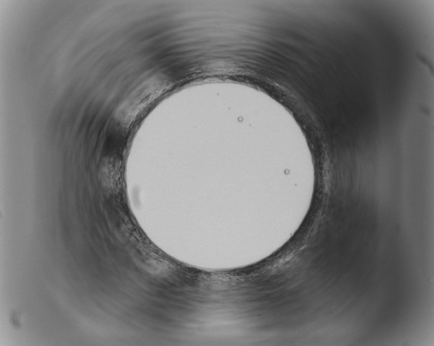 X0000103490873200810241059