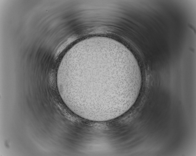 X0000103490874200810241059