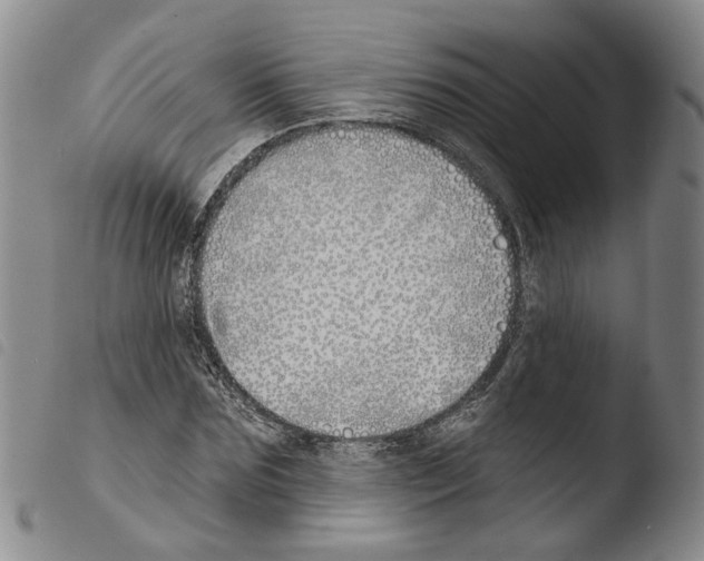 X0000103490875200810241059