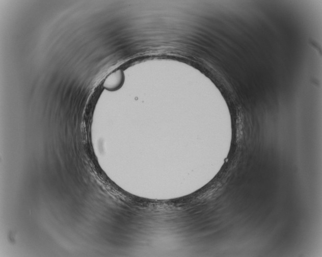 X0000103490876200810241059