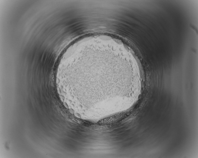 X0000103490879200810241059