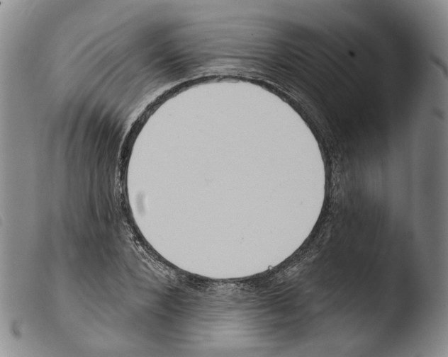 X0000103490880200810241059