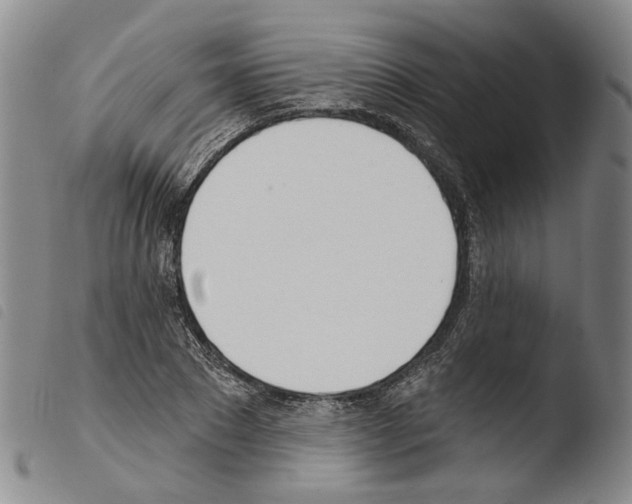 X0000103490881200810241059