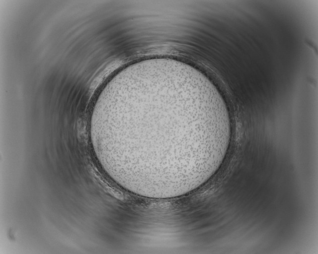 X0000103490882200810241059