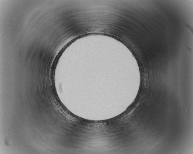 X0000103490884200810241059
