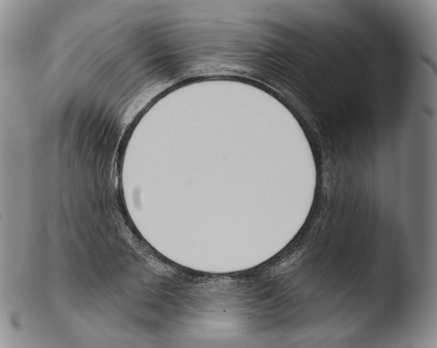 X0000103490885200810241059