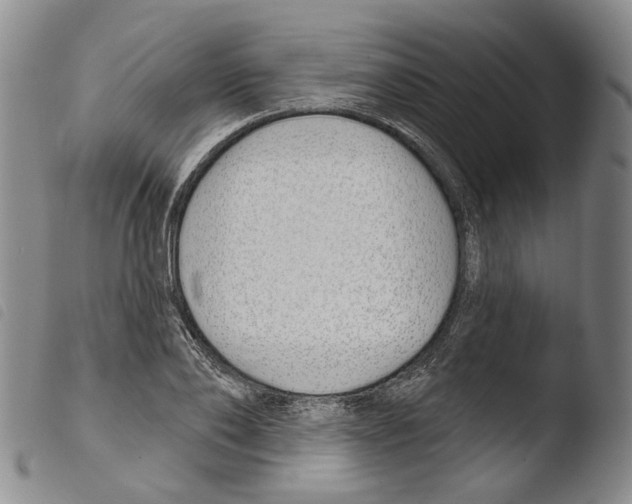 X0000103490886200810241059
