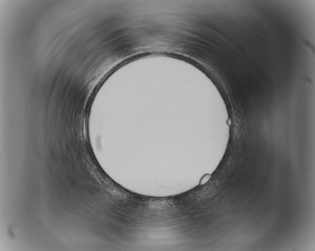 X0000103490887200810241058