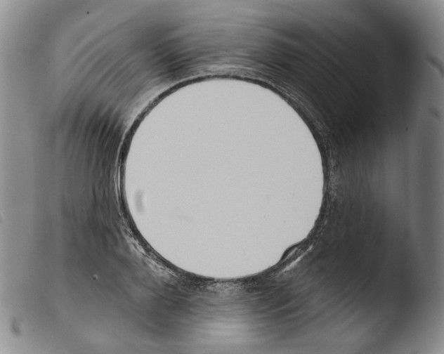 X0000103490888200810241058