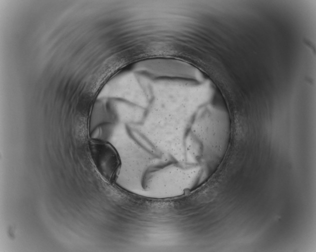 X0000103490889200810241058