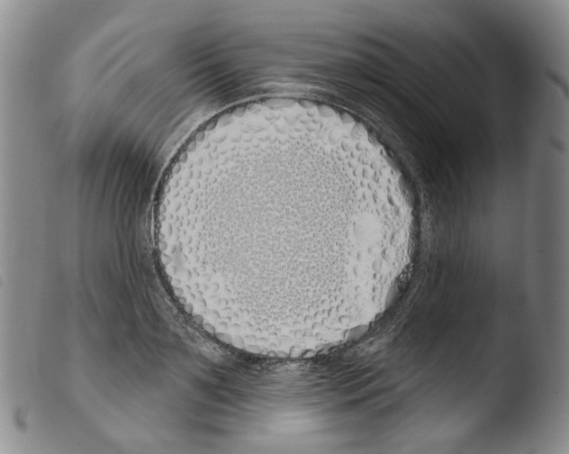 X0000103490891200810241058