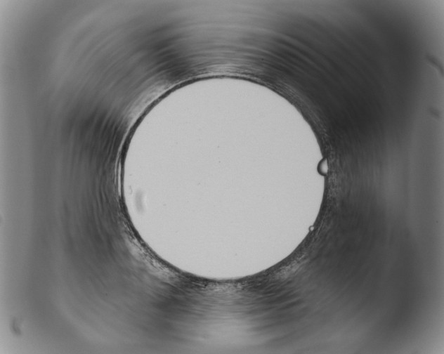 X0000103490892200810241058