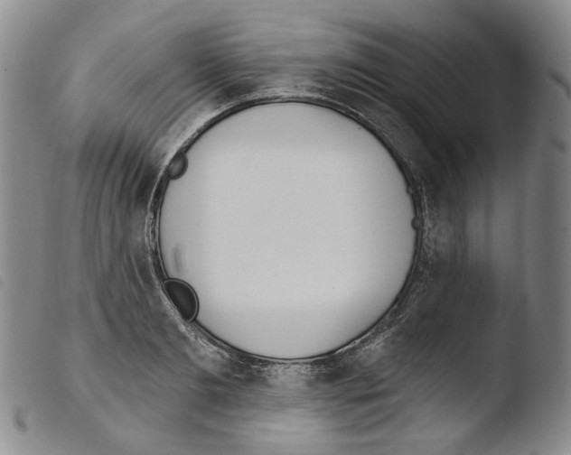 X0000103490893200810241058