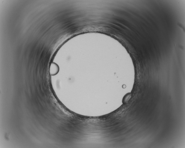 X0000103490894200810241058