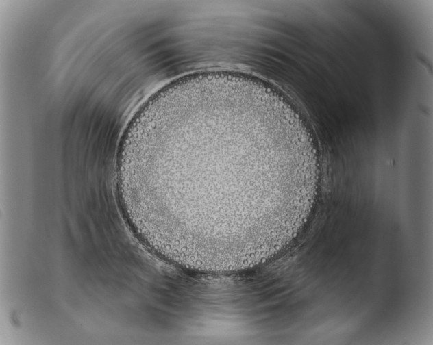 X0000103490895200810241058