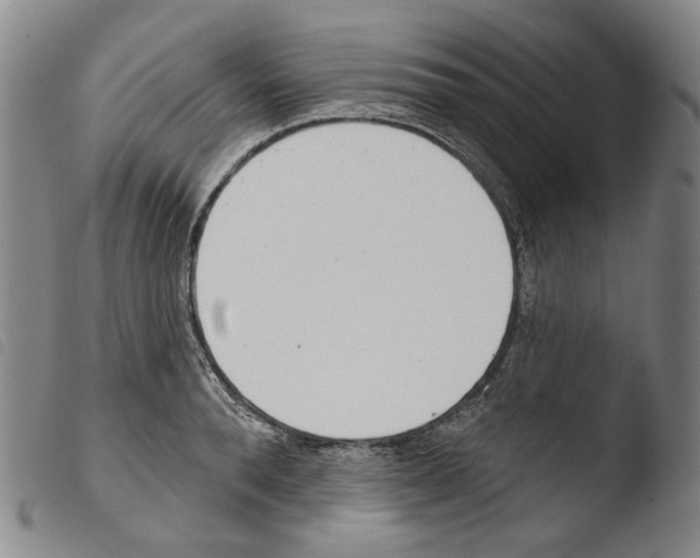 X0000103490896200810241058