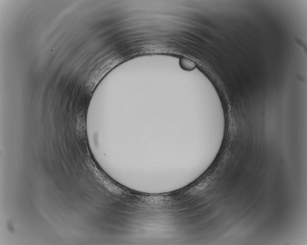 X0000103490897200810241058