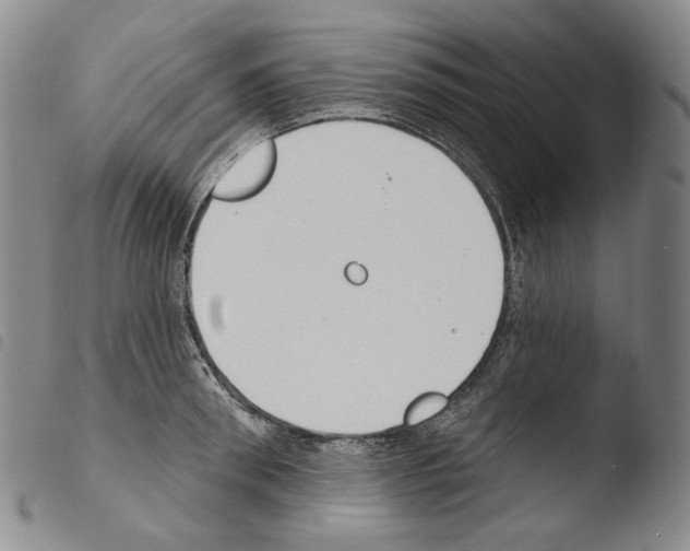 X0000103490898200810241058