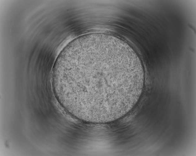 X0000103490899200810241058