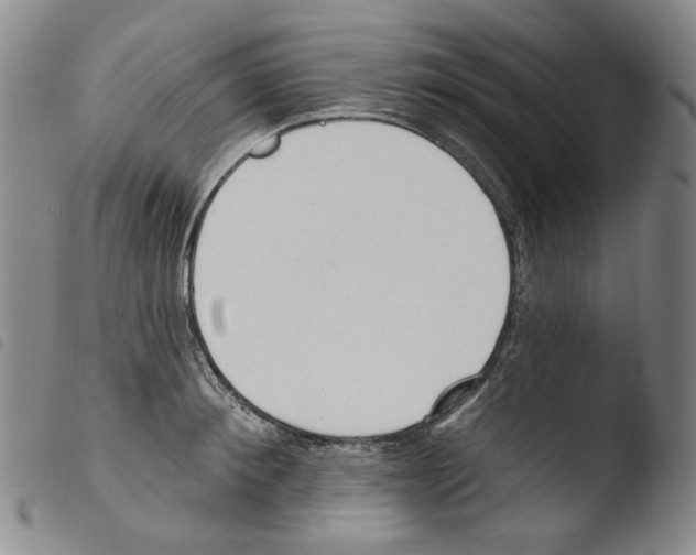 X0000103490900200810241058