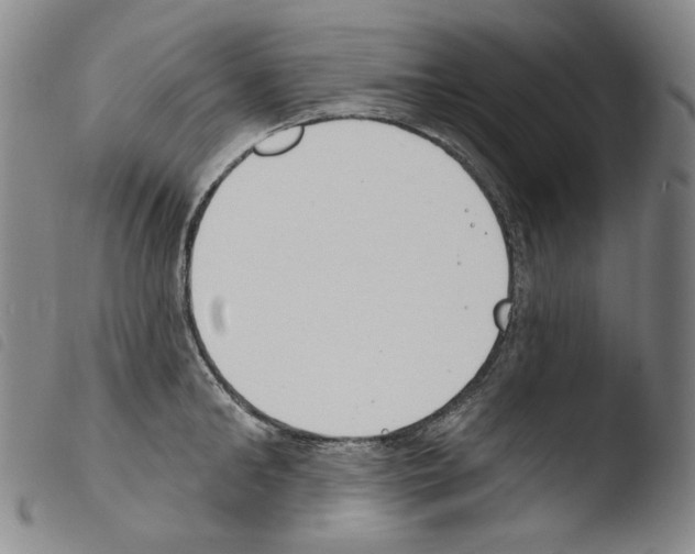 X0000103490902200810241058