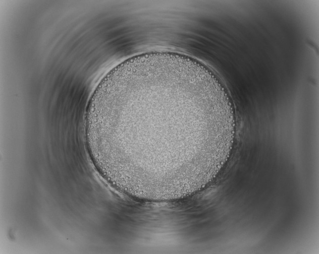 X0000103490903200810241058