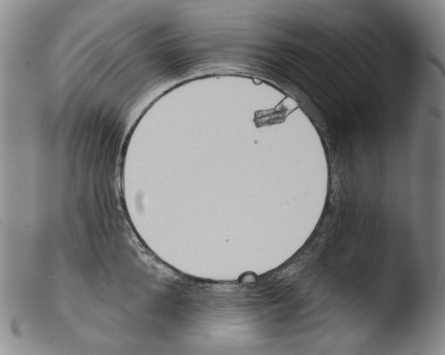 X0000103490904200810241058
