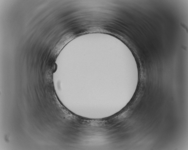 X0000103490905200810241058