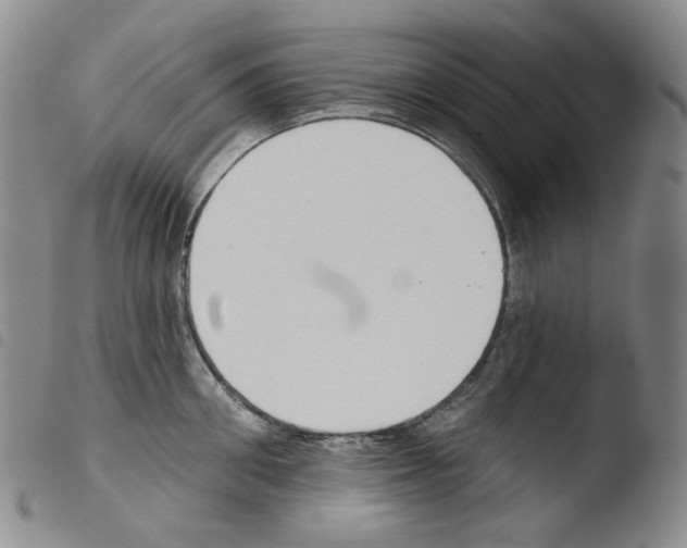 X0000103490906200810241058