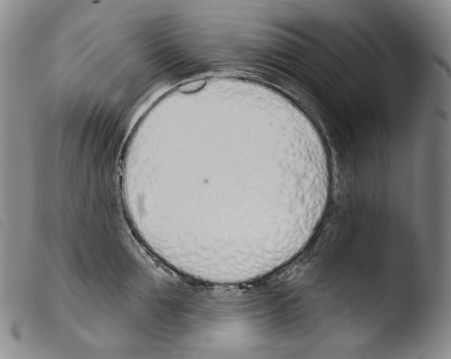 X0000103490907200810241058