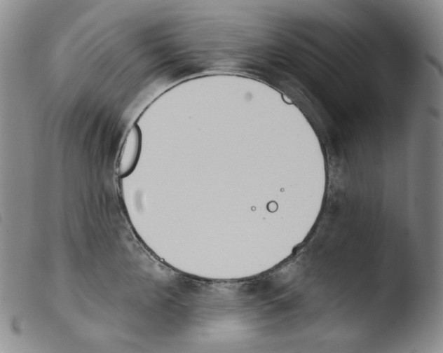 X0000103490908200810241058