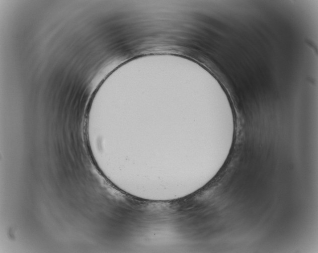 X0000103490909200810241058