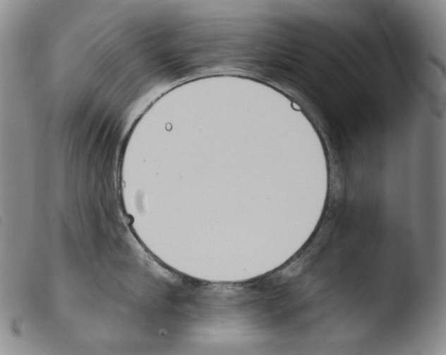 X0000103490910200810241058