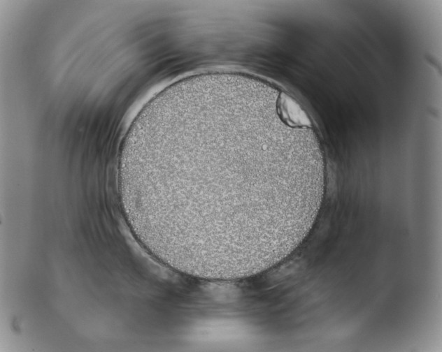 X0000103490911200810241058