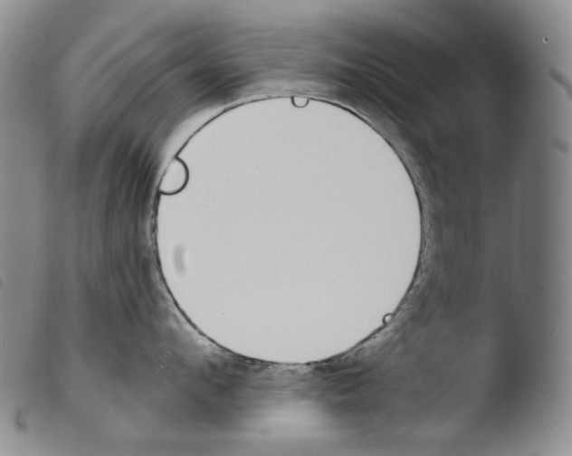 X0000103490912200810241058