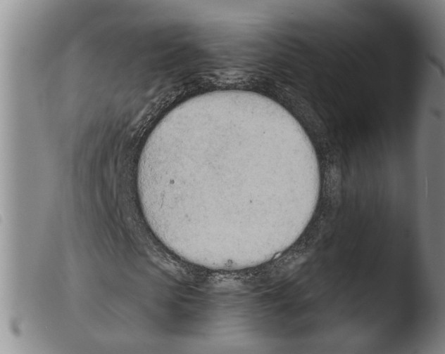 X0000103490913200810241057