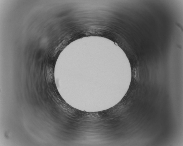 X0000103490915200810241057