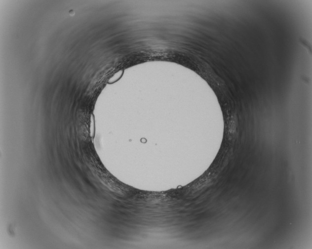 X0000103490916200810241057