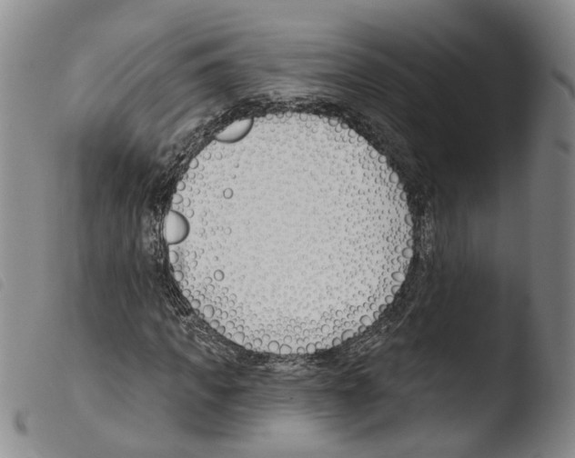 X0000103490917200810241057