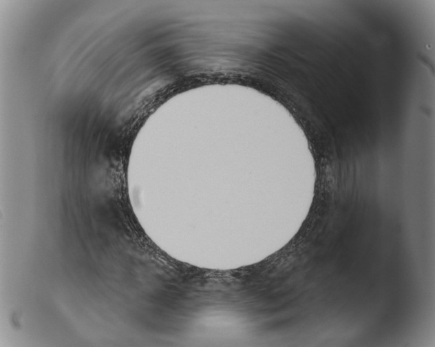 X0000103490918200810241057
