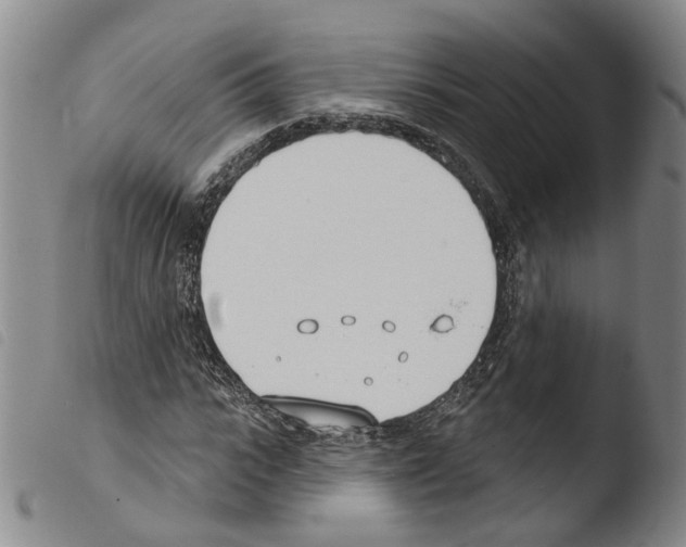 X0000103490919200810241057