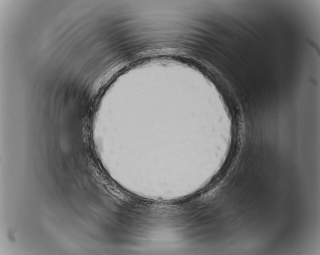 X0000103490921200810241057