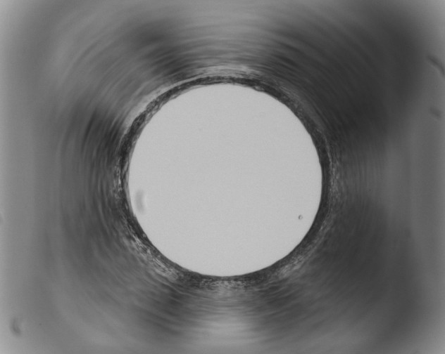 X0000103490923200810241057